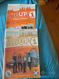 Step up 1