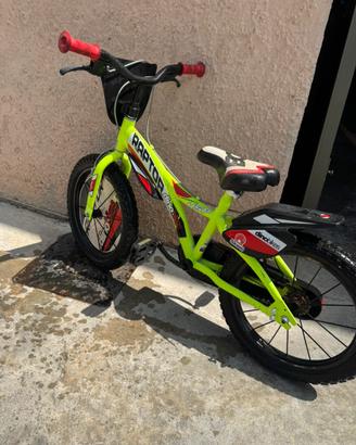 Bici bambino Dinobikes Raptor 16”