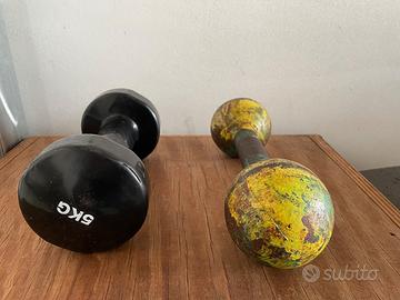 2 manubri da 5 kg