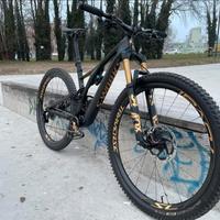 specialized stumpjumper s works