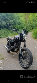 Mash 250