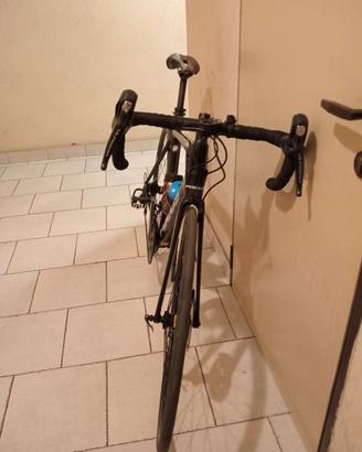 Focus izalco rave M ultegra11v