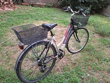 bici 28 lazzaretti