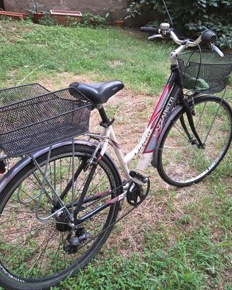 bici 28 lazzaretti
