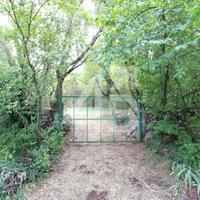TERRENO AGRICOLO - 2202 M² - OPICINA (TS)