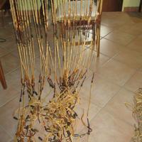 tende in bambu