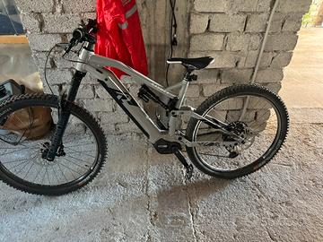 Ebike