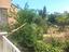 Immagine 25