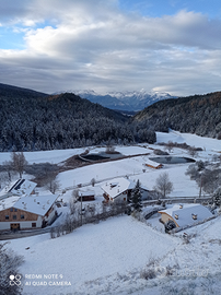 Super last minute in montagna Ruffre'