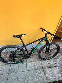 Bicicletta mountain bike bottecchia