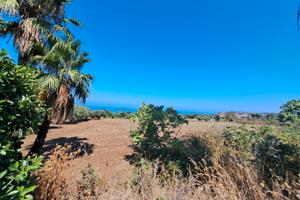 Terreno + magazzino con vista panoramica
