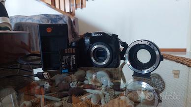 Lumix Gh4 + Speedbooster EF-M4/3+Adattatore C/Y-EF
