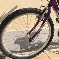 Mountain bike Velo Market ared Moon bambina