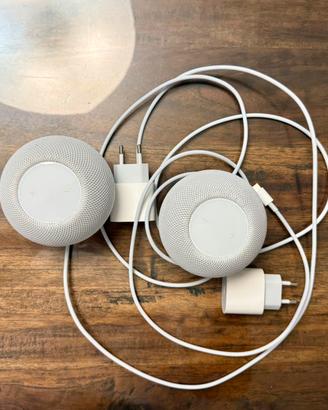 Coppia homepod mini