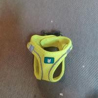 Pettorina per cani piccoli o gatti