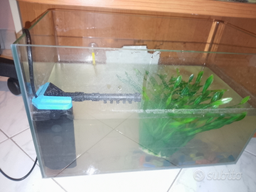 Pesciolino+acquario