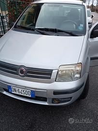 panda