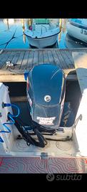 Evinrude etec 225 ho 