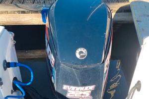 Evinrude etec 225 ho 