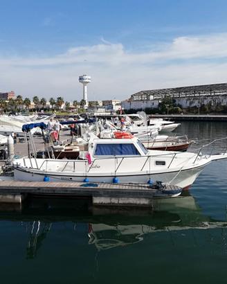 Gozzo Delfino 75 Cabin