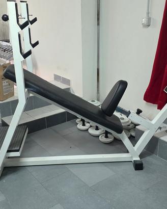 Panca Inclinata Technogym 