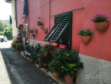 Terratetto Cascine del riccio