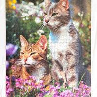 Puzzle Gatti Ravensburger 1000 pezzi - Vintage 