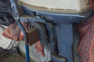 2 motori evinrude 25 più barca