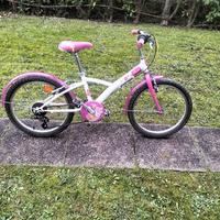 bicicletta ruote 20 pollici