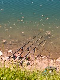 Daiwa longbow 12ft 3.5lb