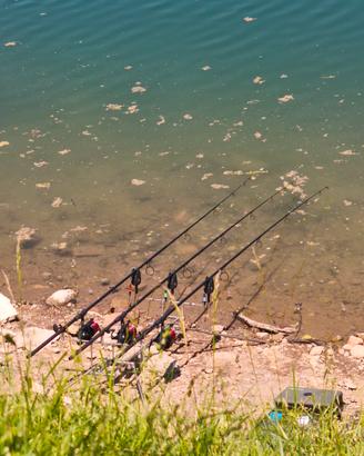 Daiwa longbow 12ft 3.5lb