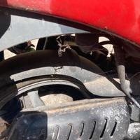 Motore piaggio free