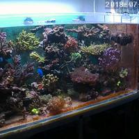 Acquario in acrilico