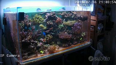 Acquario in acrilico