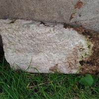 Mezzo scalino in marmo periodo '800