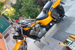 honda shadow gialla