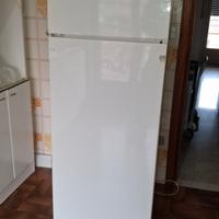 frigo 155x53x55