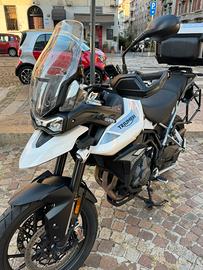 Triumph Tiger 900 GT Pro