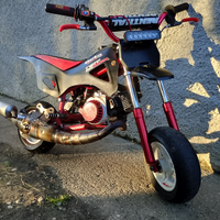 Minimotard