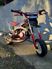 Minimotard
