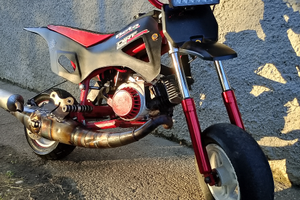 Minimotard