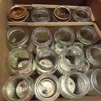 30 Vasi Bormioli Quattro Stagioni 