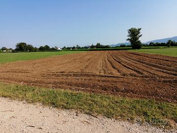 Terreno agricolo