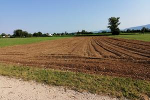Terreno agricolo
