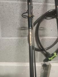 Canne da pesca carpfisching