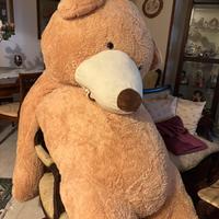peluche di orso gigante, circa 260cm