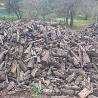 legna di ulivo secca da ardere