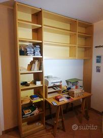 Splendida libreria in frassino
