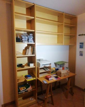 Splendida libreria in frassino