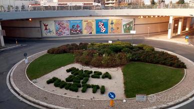 Collaboratrice domestica